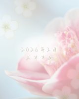 2026年2月のオススメ