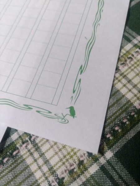 画像4: ふたふで箋 【クロスカラーデザイン】碧翡翠だけどみどり (4)