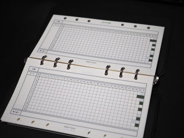 画像3: 年間ハビットトラッカー（バイブルサイズ） (3)