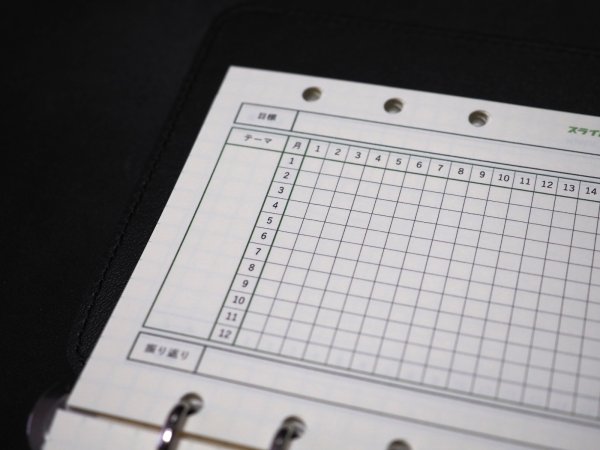 画像2: 年間ハビットトラッカー（バイブルサイズ） (2)