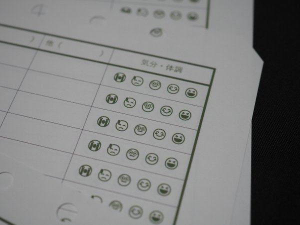 画像3: 健康記録シートリフィル (3)